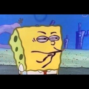 Meet your Posher, Aariona